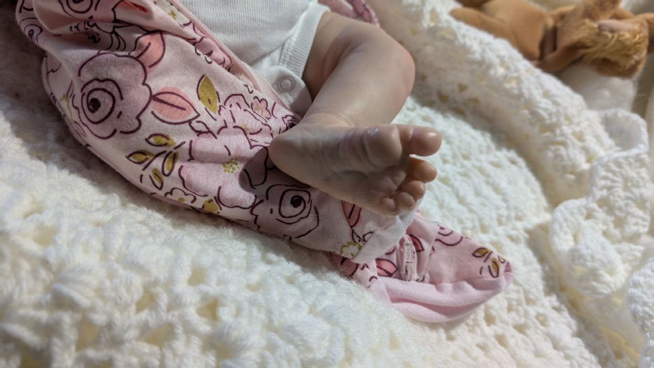 Gracie